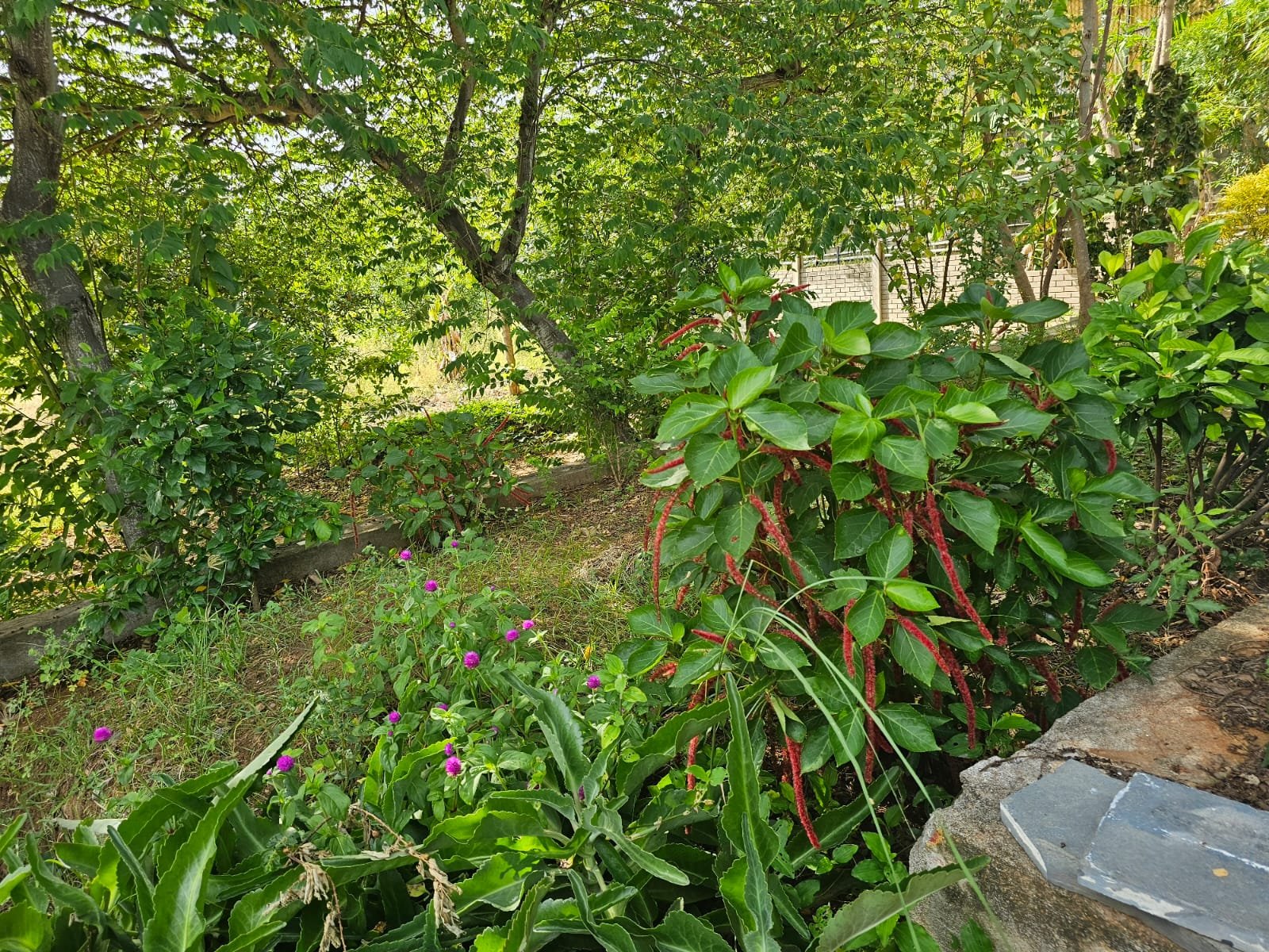 Agricultural Land